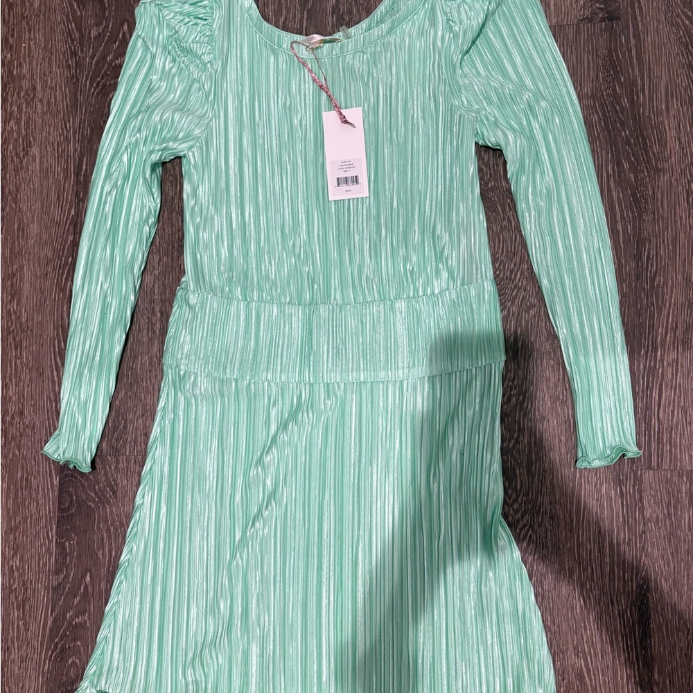 NWT Loveshack Fancy Carleen Dress Light Emerald Size 2
